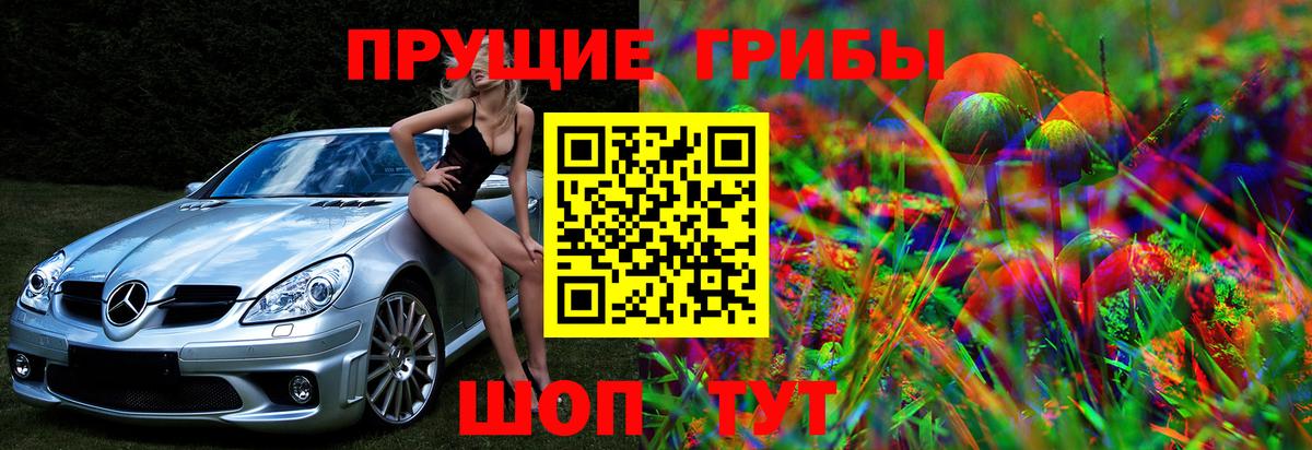 Псилоцибиновые грибы Psilocybe Вязьма