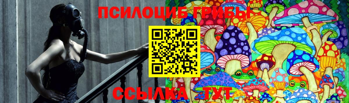 Галлюциногенные грибы GOLDEN TEACHER  Вход с VPN  Вязьма  Псилоцибиновые грибы Magic Shrooms 