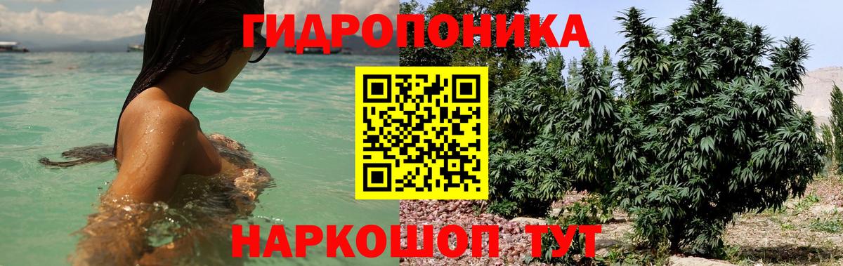 Бошки марихуана Amnesia  Бошки марихуана VHQ  Вход с VPN  Шишки марихуана MAZAR  Вязьма 